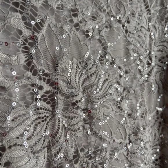 Dressbarn Roz & Ali Dress Gray with Sparkle - Picture 3 of 6